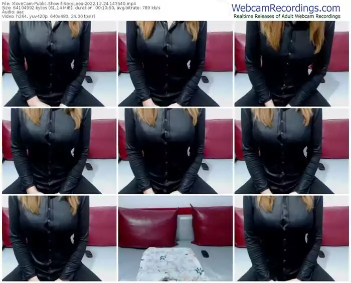 2022/12/24/xlovecam-sexyleea-14-35-40