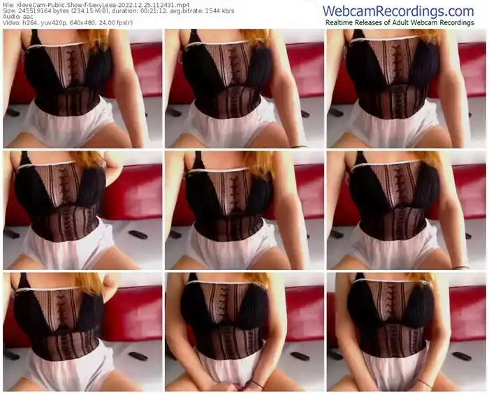 2022/12/25/xlovecam-sexyleea-11-24-31