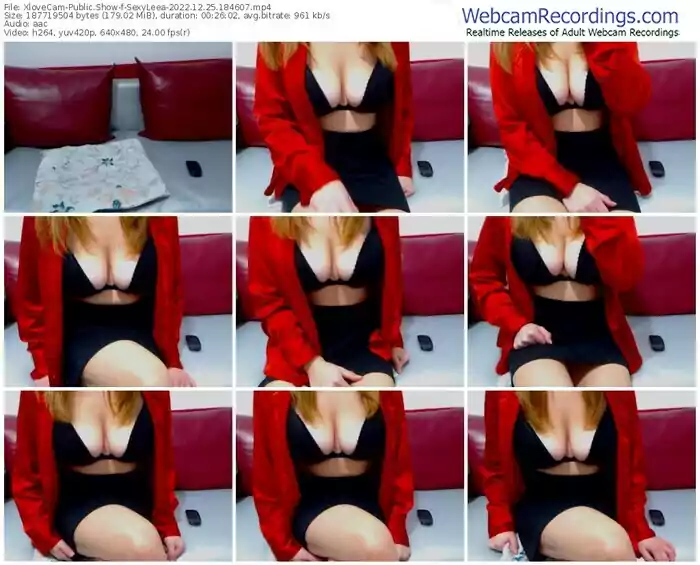 2022/12/25/xlovecam-sexyleea-18-46-07