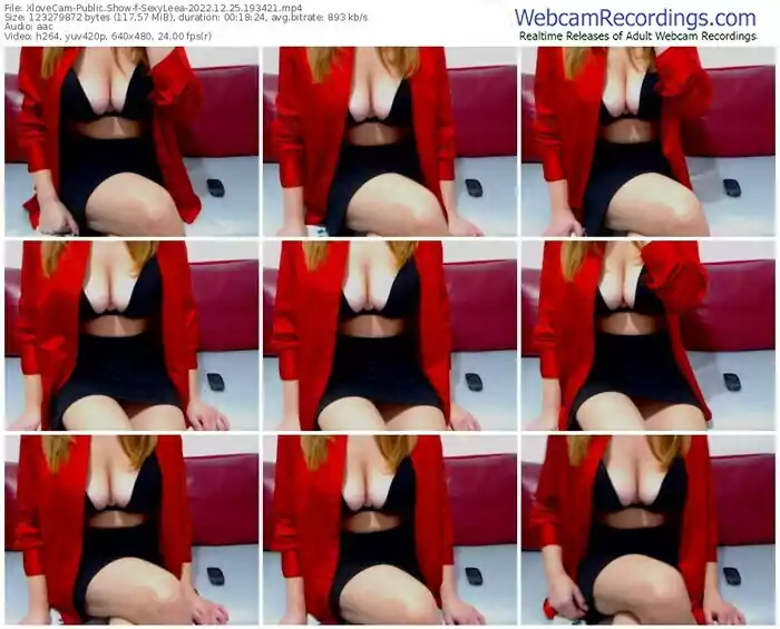 2022/12/25/xlovecam-sexyleea-19-34-21