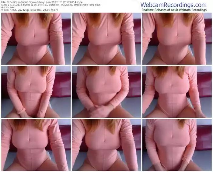 2022/12/27/xlovecam-sexyleea-12-48-04