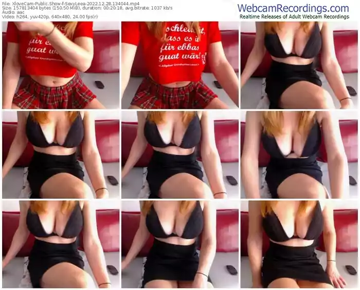 2022/12/28/xlovecam-sexyleea-13-40-44