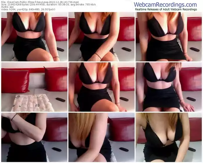 2022/12/28/xlovecam-sexyleea-14-17-36