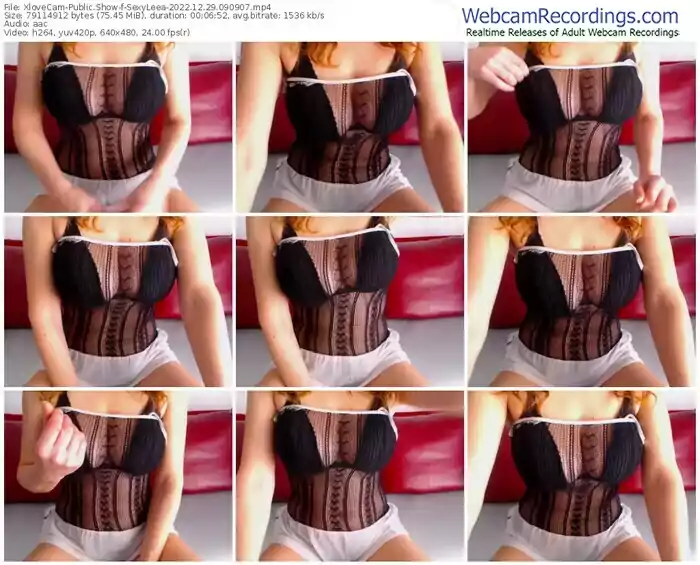2022/12/29/xlovecam-sexyleea-09-09-07