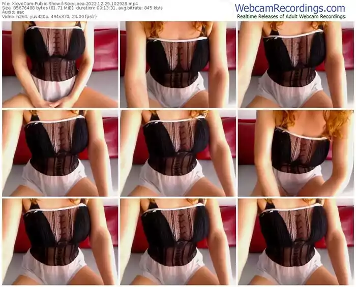 2022/12/29/xlovecam-sexyleea-10-29-28