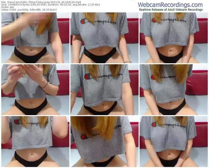 2023/01/20/xlovecam-sexyleea-16-41-24