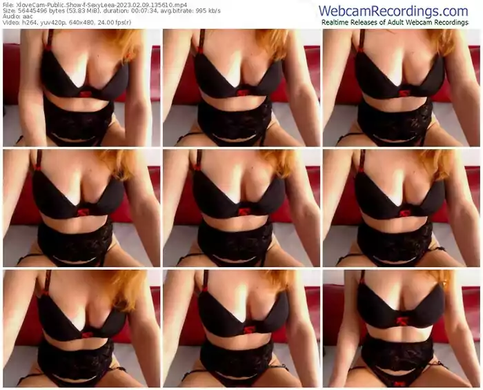 2023/02/09/xlovecam-sexyleea-13-56-10