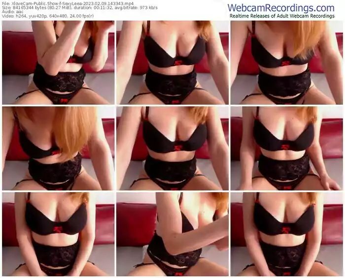 2023/02/09/xlovecam-sexyleea-14-33-43