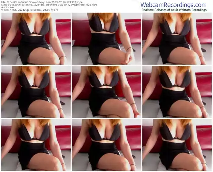 2023/02/16/xlovecam-sexyleea-12-13-38