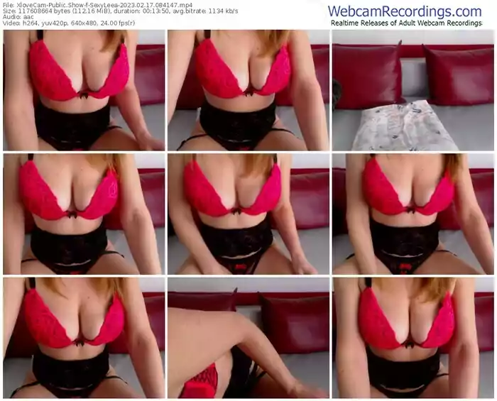 2023/02/17/xlovecam-sexyleea-08-41-47