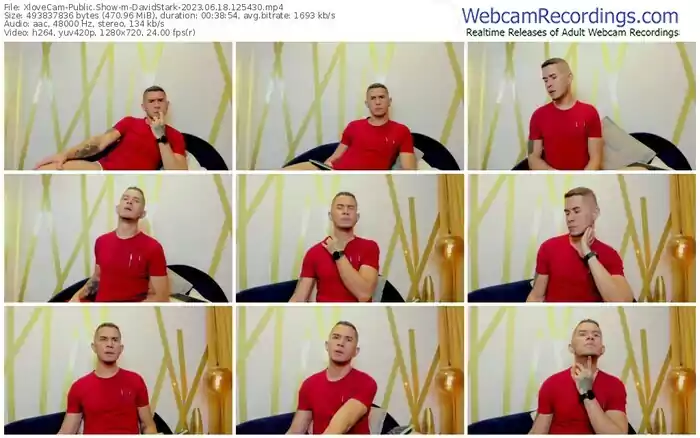 2023/06/18/xlovecam-davidstark-12-54-30