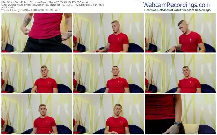 2023/06/18/xlovecam-davidstark-17-42-38