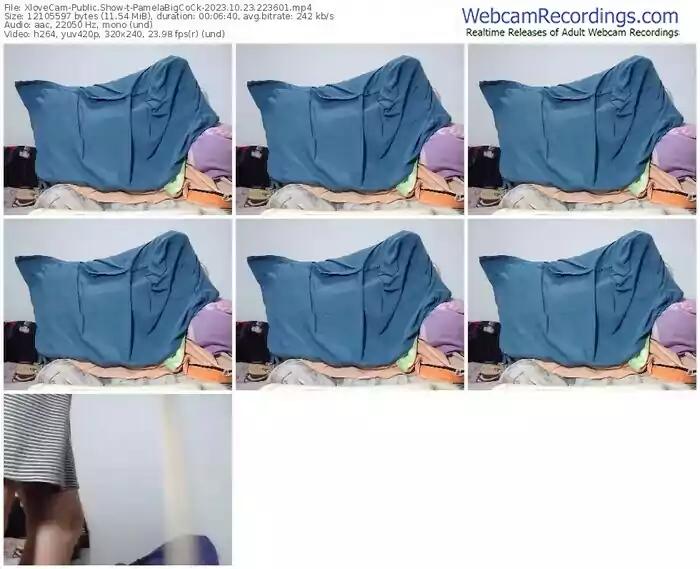 2023/10/23/xlovecam-pamelabigcock-22-36-01