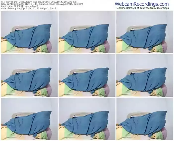 2023/10/30/xlovecam-pamelabigcock-16-52-35