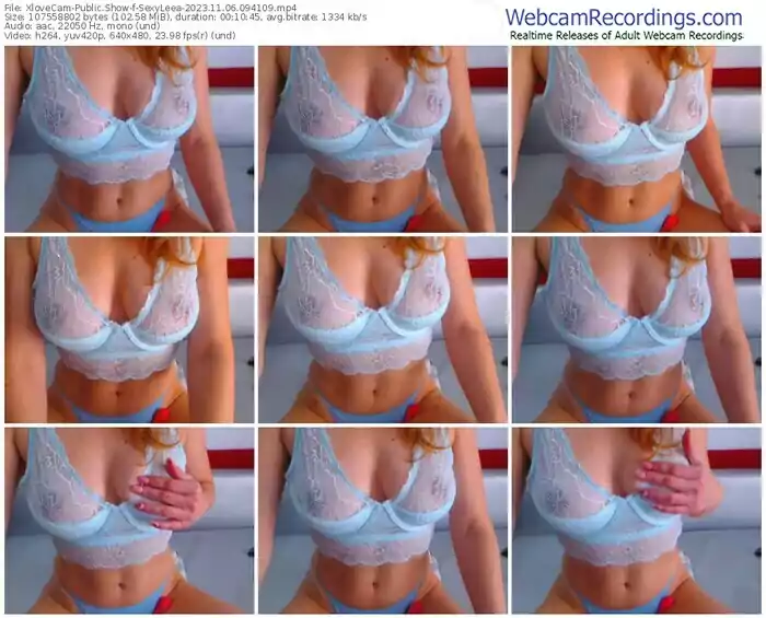 2023/11/06/xlovecam-sexyleea-09-41-09