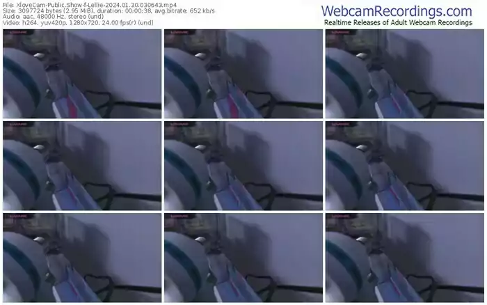 2024/01/30/xlovecam-lellie-03-06-43