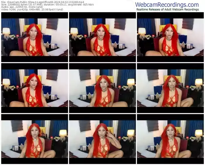 2024/04/02/xlovecam-legsoffice69-10-32-48