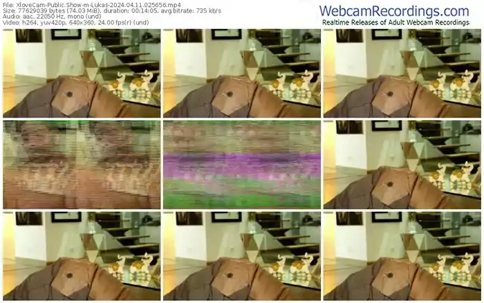 2024/04/11/xlovecam-lukas-02-56-56