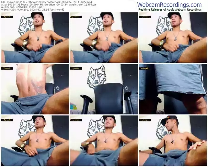 2024/04/13/xlovecam-wolfmonstercock-11-16-55