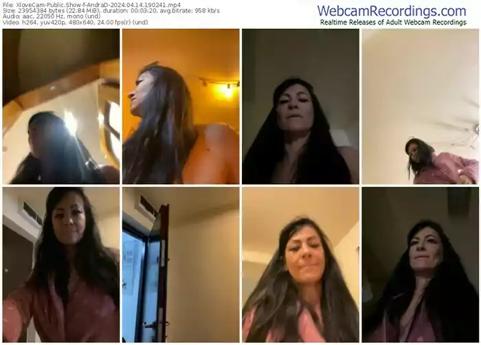 2024/04/14/xlovecam-andrad-19-02-41