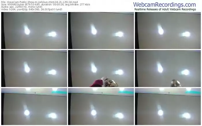 2024/04/21/xlovecam-jorkgus-12-51-34