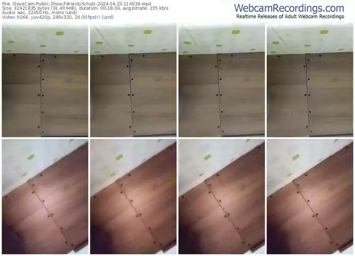 2024/04/23/xlovecam-wendyschulz-11-46-39