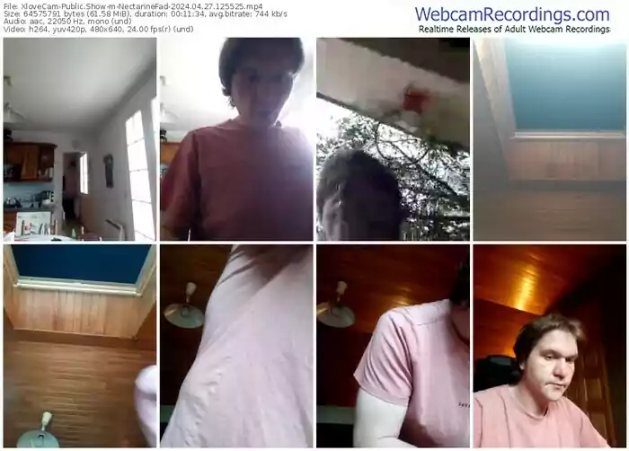 2024/04/27/xlovecam-nectarinefad-12-55-25