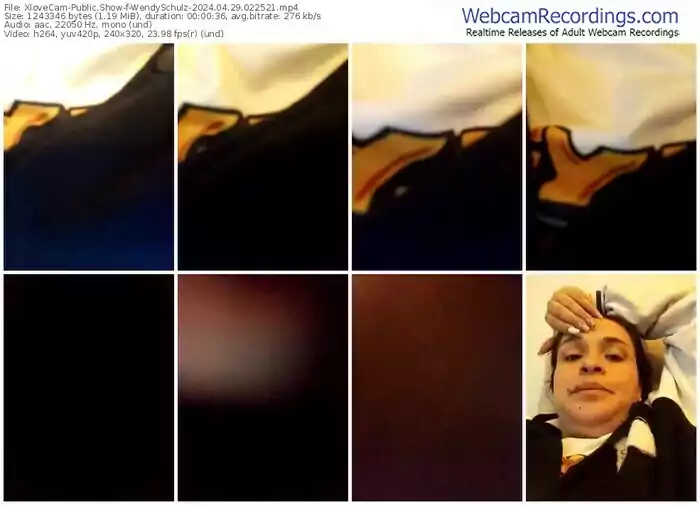 2024/04/29/xlovecam-wendyschulz-02-25-21