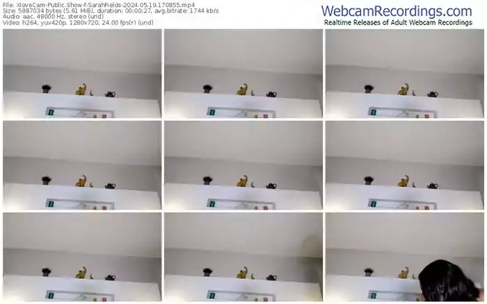 2024/05/19/xlovecam-sarahfields-17-08-55