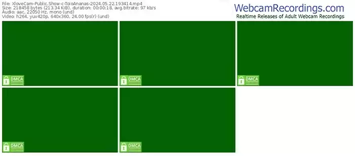 2024/05/22/xlovecam-toioananas-19-34-14