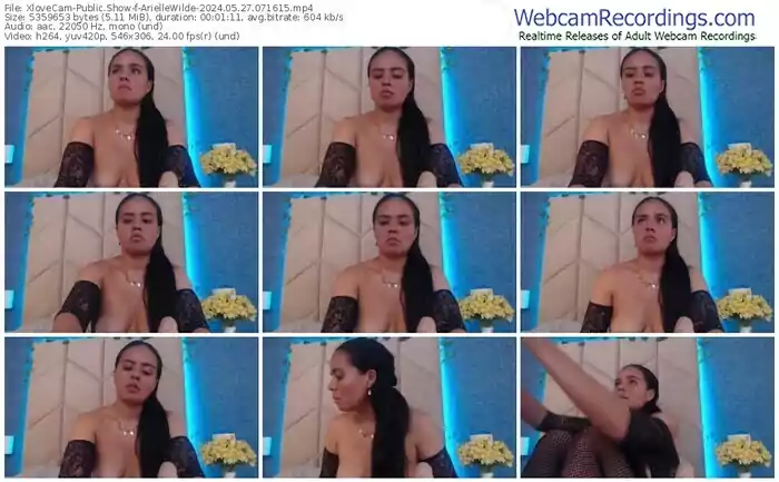 2024/05/27/xlovecam-ariellewilde-07-16-15