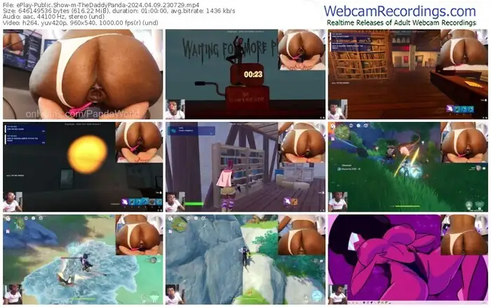 2024/04/09/eplay-thedaddypanda-23-07-29