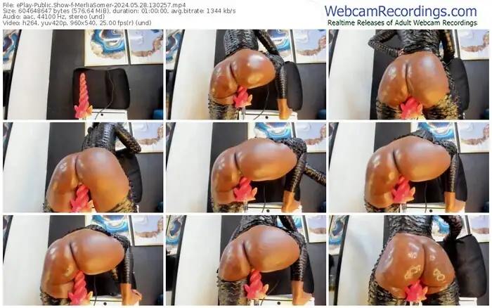 2024/05/28/eplay-merliasomer-13-02-57