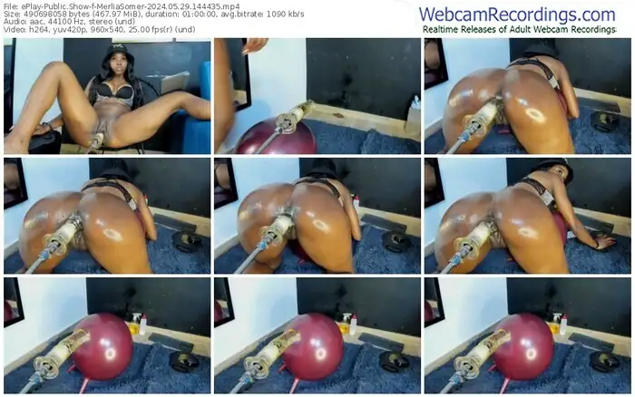 2024/05/29/eplay-merliasomer-14-44-35