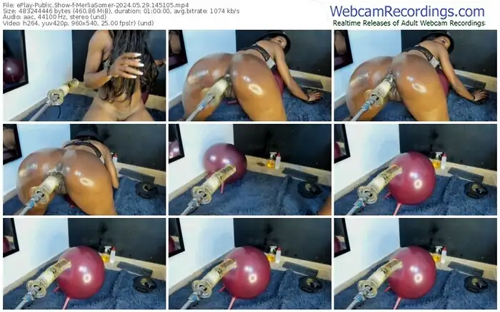 2024/05/29/eplay-merliasomer-14-51-05