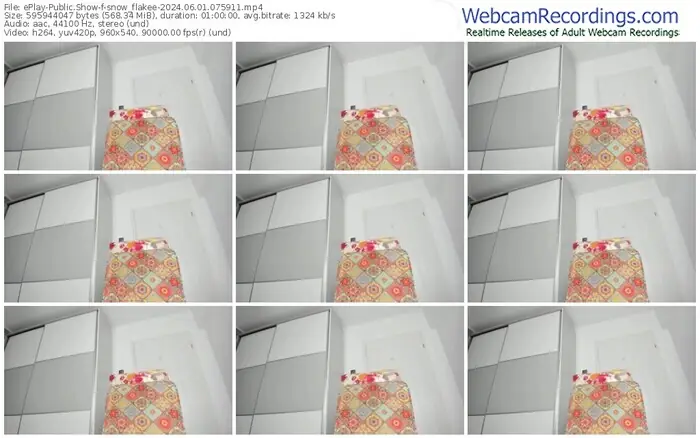 2024/06/01/eplay-snow_flakee-07-59-11