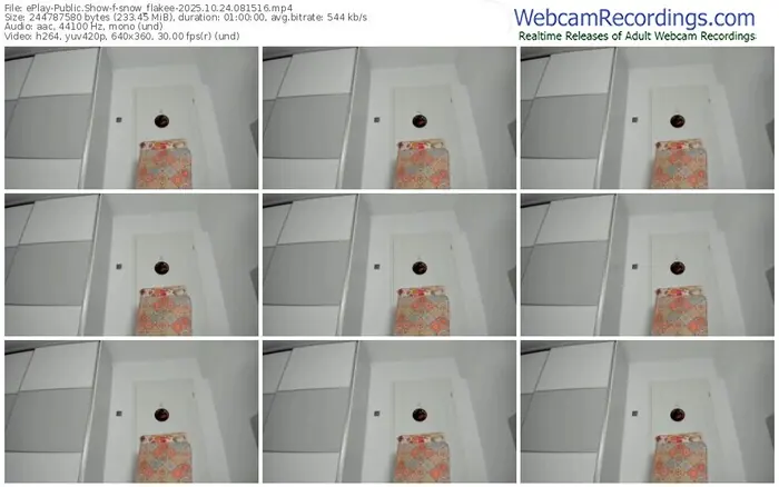 2025/10/24/eplay-snow_flakee-08-15-16