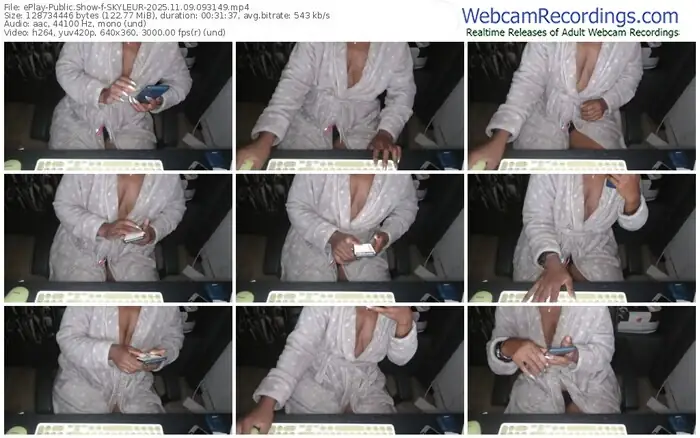 2025/11/09/eplay-skyleur-09-31-49