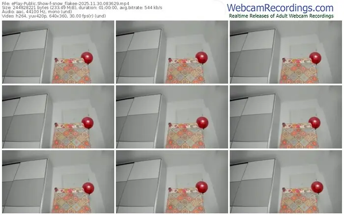 2025/11/30/eplay-snow_flakee-08-36-29