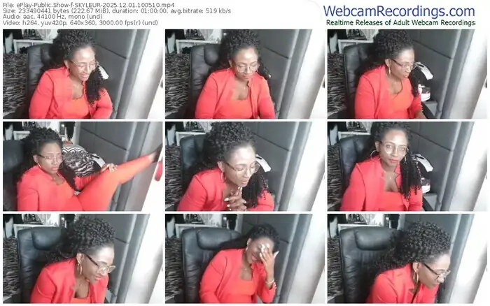 2025/12/01/eplay-skyleur-10-05-10