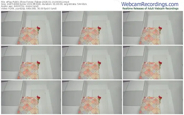 2026/01/10/eplay-snow_flakee-09-33-12