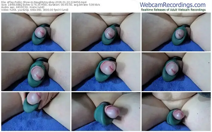 2026/01/22/eplay-naughtytoysboy-22-44-56