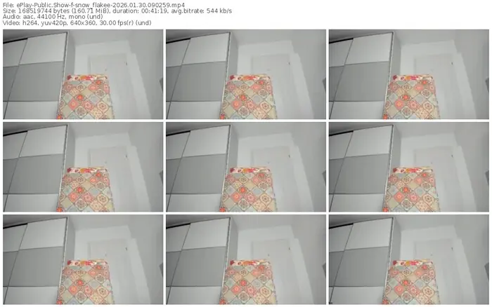 2026/01/30/eplay-snow_flakee-09-02-59