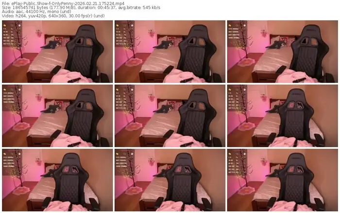 2026/02/21/eplay-onlypenny-17-52-24