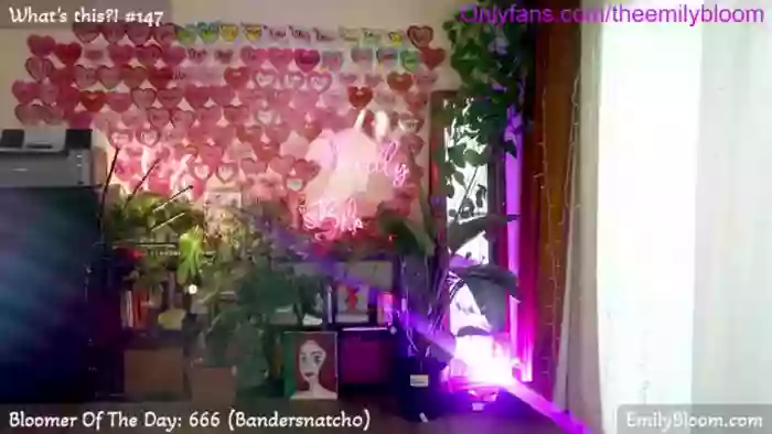 EmilyBloom