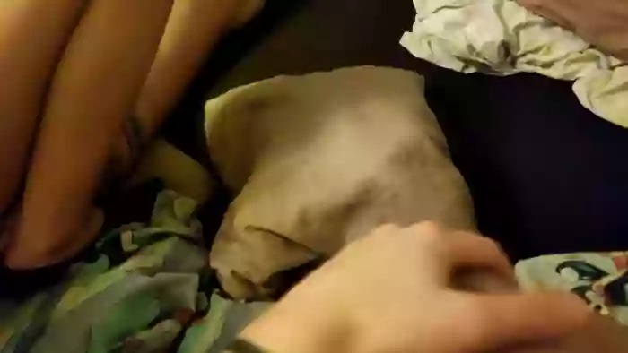 2NapaloneMokreiMlody