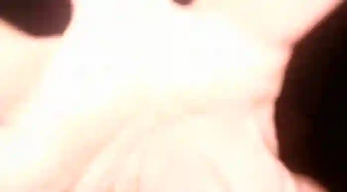 yourmorningwakeupcall